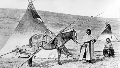 Pawnee Indianer, Nebraska, ca. 1880-1900 von American Photographer